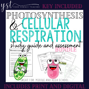 Preview of Photosynthesis & Cellular Respiration Study Guide and Assessment Bundle