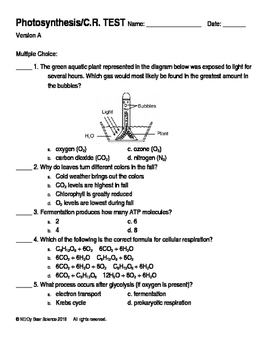 photosynthesis cellular respiration test questions