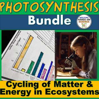 Preview of Photosynthesis Cellular Respiration Unit Bundle Activities Worksheets Assessment