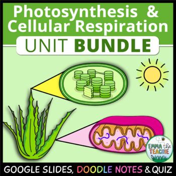 Preview of Photosynthesis & Cellular Respiration UNIT: Digital Activities Quiz Doodle Notes