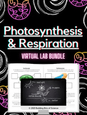 Photosynthesis & Cellular Respiration Virtual Lab Bundle