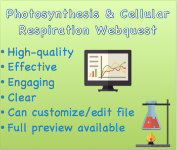 Preview of Photosynthesis & Cellular Respiration Webquest