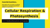 Photosynthesis & Cellular Respirtaion