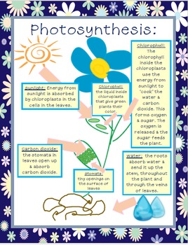 Preview of Photosynthesis Cheat Sheet/Printable *FREEBIE*