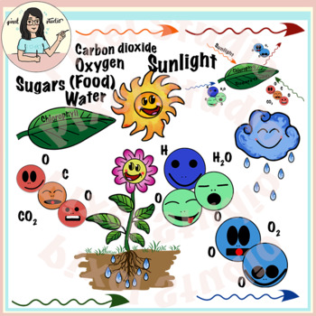 Preview of Photosynthesis Clipart
