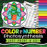 Photosynthesis Color By Number - Science Color by Number