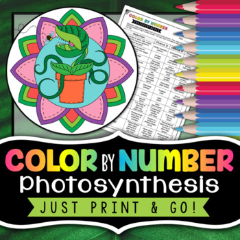 Preview of Photosynthesis Color By Number - Science Color by Number Review Worksheet