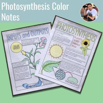 Preview of Photosynthesis Color Notes
