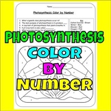 Photosynthesis Color by Number