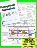 Photosynthesis Coloring Book (Complex)