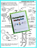 Photosynthesis Coloring Book (Simplified)