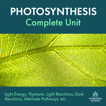 Preview of Photosynthesis Complete Unit