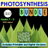 powerpoint presentation of photosynthesis