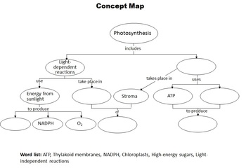 Photosynthesis Chart Worksheet