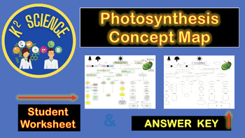 Preview of Photosynthesis Concept Map with Answer Key