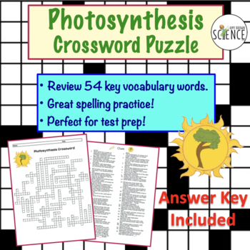 Photosynthesis Crossword Puzzle By Amy Brown Science Tpt