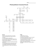 Photosynthesis Crossword Puzzle