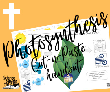 Preview of Photosynthesis Cut n Paste Handout