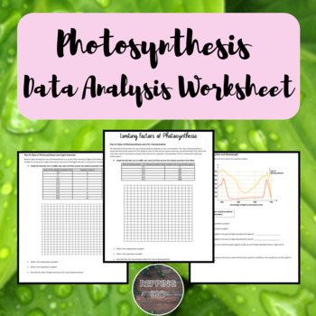 Preview of Photosynthesis Data Analysis Worksheet