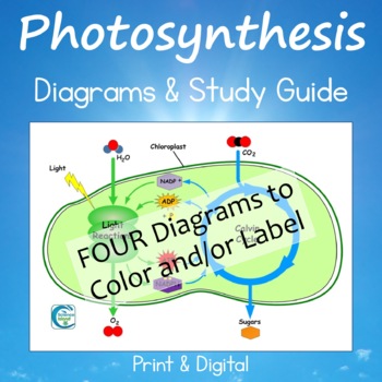 Preview of Photosynthesis Diagrams and Study Guide (Distance Learning)