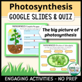 Photosynthesis Digital INB Activities and Quiz - The Big Picture Overview