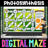Photosynthesis Digital Maze | Science Digital Mazes