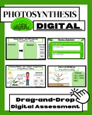 Photosynthesis - Digital Worksheet Assessment - Drag & Dro