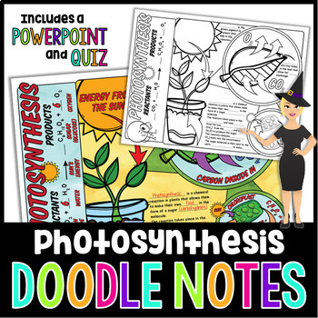 Preview of Photosynthesis Doodle Notes | Science Doodle Notes