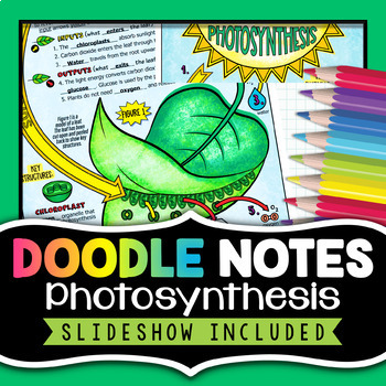 Preview of Photosynthesis Doodle Notes Activity | Visual Review Worksheets