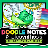 Photosynthesis Doodle Notes Activity | Visual Review Worksheets