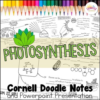 Preview of Photosynthesis Doodle Notes | Middle School Science | Cornell Notes