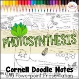 Photosynthesis Doodle Notes | Middle School Science | Corn