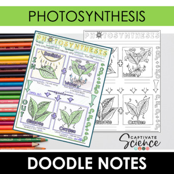 Preview of Photosynthesis Doodle Notes  | Science Doodle Notes