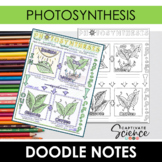 Photosynthesis Doodle Notes  | Science Doodle Notes