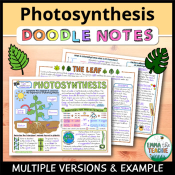 photosynthesis doodle notes the big picture overview by emmatheteachie