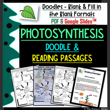 Preview of Photosynthesis Doodles | Photosynthesis Graphic Organizer and Reading Notes
