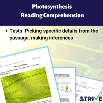 Preview of Photosynthesis English Reading Comprehension Worksheet