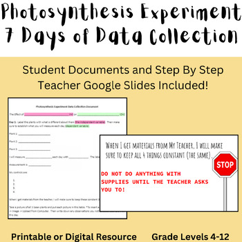 Preview of Photosynthesis Experiment Digital Resource (scientific method) - 7 Day Project