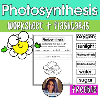 Preview of Photosynthesis {FREE} - Ms Marwa Tarek