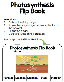 Photosynthesis Flip Book