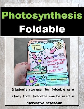 Preview of Photosynthesis Foldable