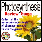 Photosynthesis Game Collect the Ingredients of Photosynthe
