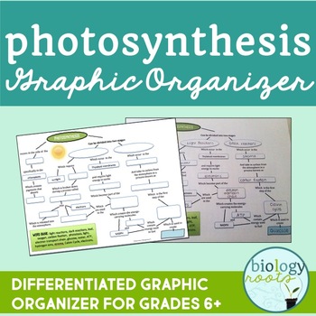 Preview of Photosynthesis Graphic Organizer