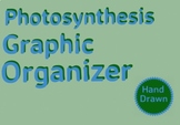 Photosynthesis Graphic Organizer
