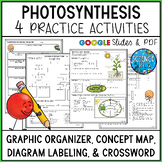 Photosynthesis Graphic Organizer, Concept Map, Labeling Di