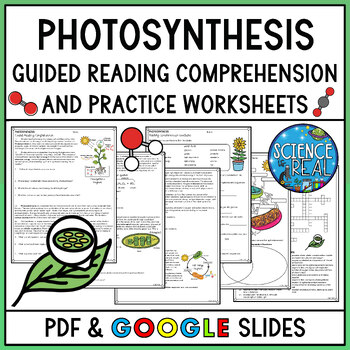 Preview of Photosynthesis Reading Comprehension and Activities