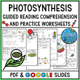 Photosynthesis Reading Comprehension and Activities