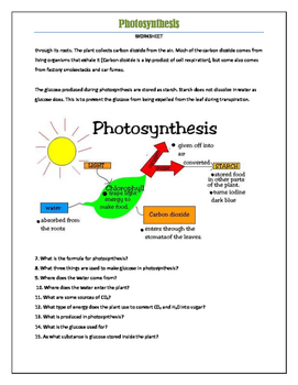 photosynthesis handout by wise old owl educational products tpt