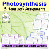 Photosynthesis Homework Worksheets