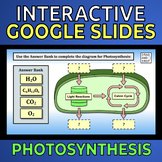 Photosynthesis -- Interactive Google Slides (Light Reactio